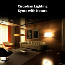 Load image into Gallery viewer, AQARA LED Bulb T2 (E27, CCT)