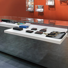 Muatkan imej ke dalam penonton Galeri, SALICE Shelf Runner For Pull-Out Shelves with Soft Close