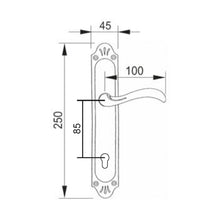 Muatkan imej ke dalam penonton Galeri, MESTRE Basic Series Solid Brass Lever Handle On Plate 0695
