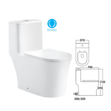 Load image into Gallery viewer, SORENTO One-Piece Water Closet
