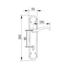 Muatkan imej ke dalam penonton Galeri, MESTRE Basic Series Solid Brass Lever Handle On Plate 1383
