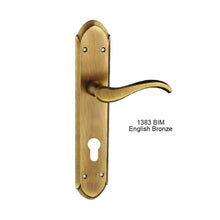 Muatkan imej ke dalam penonton Galeri, MESTRE Basic Series Solid Brass Lever Handle On Plate 1383

