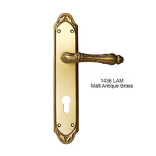 Load image into Gallery viewer, MESTRE Basic Series Solid Brass Lever Handle On Plate 1436
