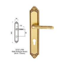 Muatkan imej ke dalam penonton Galeri, MESTRE Luxury Matching Series Solid Brass Lever Handle On Plate 2932 3232
