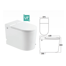 Load image into Gallery viewer, SORENTO Tankless Water Closet

