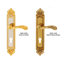 Muatkan imej ke dalam penonton Galeri, MESTRE Exclusive Series Solid Brass Lever Handle On Plate 3860
