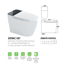 将图片加载到图库查看器，SORENTO Intelligent Water Closet
