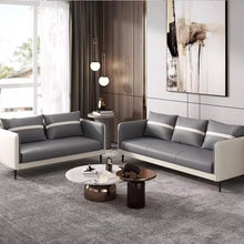 Load image into Gallery viewer, Boyle High Tech Fabric Dual Tone Sofa
