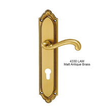 Load image into Gallery viewer, MESTRE Basic Series Solid Brass Lever Handle On Plate 4330

