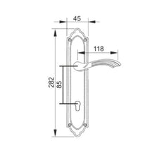 Muatkan imej ke dalam penonton Galeri, MESTRE Basic Series Solid Brass Lever Handle On Plate 4550
