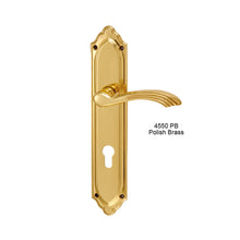 Muatkan imej ke dalam penonton Galeri, MESTRE Basic Series Solid Brass Lever Handle On Plate 4550
