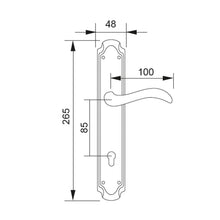 Muatkan imej ke dalam penonton Galeri, MESTRE Basic Series Solid Brass Lever Handle On Plate 4995

