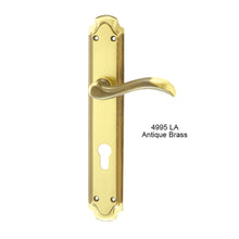 Muatkan imej ke dalam penonton Galeri, MESTRE Basic Series Solid Brass Lever Handle On Plate 4995
