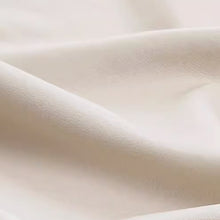 将图片加载到图库查看器，Lucio Nordic Technology Cloth Sofa With 2 Pillows
