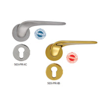 将图片加载到图库查看器，FRASCIO Solid Brass Lever Handle On Rose - Fenice 503-PR
