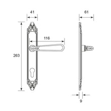将图片加载到图库查看器，IRANZO Solid Brass Lever Handle On Plate 6912A
