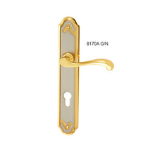 将图片加载到图库查看器，IRANZO Solid Brass Lever Handle On Plate 8170A
