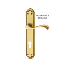 将图片加载到图库查看器，IRANZO Solid Brass Lever Handle On Plate 8670A
