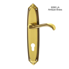 Muatkan imej ke dalam penonton Galeri, MESTRE Basic Series Solid Brass Lever Handle On Plate 9280

