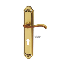 将图片加载到图库查看器，IRANZO Solid Brass Lever Handle On Plate 9833A
