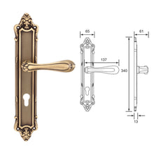 Load image into Gallery viewer, COBA Solid Brass Door Lever Handle on Plate
