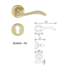 Muatkan imej ke dalam penonton Galeri, COBA Solid Brass Door Lever Handle on Rose
