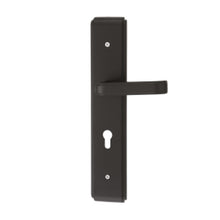 将图片加载到图库查看器，DUFIX DX-A Series Stainless Steel Lever Handle On Plate SUS 304 DX-A 1238
