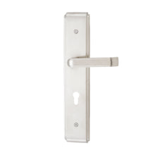 将图片加载到图库查看器，DUFIX DX-A Series Stainless Steel Lever Handle On Plate SUS 304 DX-A 1238
