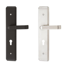 将图片加载到图库查看器，DUFIX DX-A Series Stainless Steel Lever Handle On Plate SUS 304 DX-A 1238
