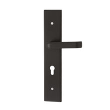 将图片加载到图库查看器，DUFIX DX-A Series Stainless Steel Lever Handle On Plate SUS 304 DX-A 1338
