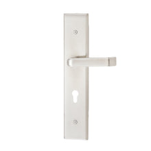 将图片加载到图库查看器，DUFIX DX-A Series Stainless Steel Lever Handle On Plate SUS 304 DX-A 1338
