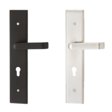 将图片加载到图库查看器，DUFIX DX-A Series Stainless Steel Lever Handle On Plate SUS 304 DX-A 1338

