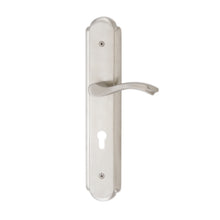 将图片加载到图库查看器，DUFIX DX-A Series Stainless Steel Lever Handle On Plate SUS 304 DX-A 514
