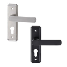 Load image into Gallery viewer, DUFIX DX-F Series Stainless Steel Lever Handle On Plate SUS 304 DX-F 1238
