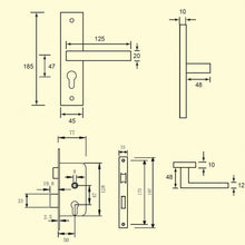 将图片加载到图库查看器，DUFIX DX-S Series Stainless Steel Lever Handle On Plate SUS 304 DX-S 111
