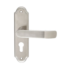 Muatkan imej ke dalam penonton Galeri, DUFIX DX-S Series Stainless Steel Lever Handle On Plate SUS 304 DX-S 212

