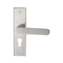 将图片加载到图库查看器，DUFIX DX-S Series Stainless Steel Lever Handle On Plate SUS 304 DX-S 310
