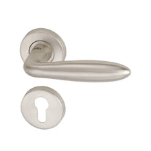 Load image into Gallery viewer, DUFIX Stainless Steel Lever Handle On Rose SUS 304 DX 109
