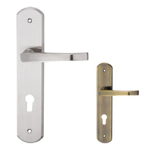 Muatkan imej ke dalam penonton Galeri, DUFIX DX Series Stainless Steel Lever Handle On Plate SUS 304 DX 413
