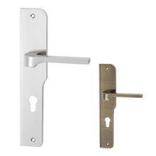 将图片加载到图库查看器，DUFIX DX Series Stainless Steel Lever Handle On Plate SUS 304 DX 631
