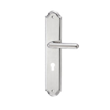 Muatkan imej ke dalam penonton Galeri, DUFIX DXL Series Stainless Steel Lever Handle On Plate SUS 304 DXL 1137
