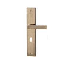 Load image into Gallery viewer, DUFIX DXL Series Stainless Steel Lever Handle On Plate SUS 304 DXL 211
