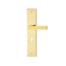 Load image into Gallery viewer, DUFIX DXL Series Stainless Steel Lever Handle On Plate SUS 304 DXL 211
