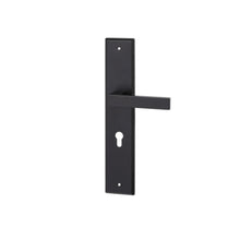 Load image into Gallery viewer, DUFIX DXL Series Stainless Steel Lever Handle On Plate SUS 304 DXL 211
