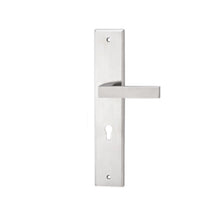 Load image into Gallery viewer, DUFIX DXL Series Stainless Steel Lever Handle On Plate SUS 304 DXL 211
