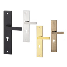 Load image into Gallery viewer, DUFIX DXL Series Stainless Steel Lever Handle On Plate SUS 304 DXL 211
