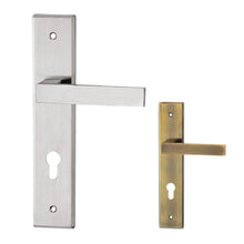 Load image into Gallery viewer, DUFIX DXS Series Stainless Steel Lever Handle On Plate SUS 304 DXS 211
