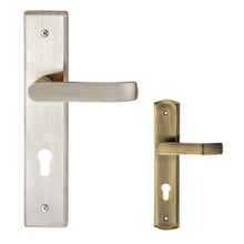 Load image into Gallery viewer, DUFIX DXS Series Stainless Steel Lever Handle On Plate SUS 304 DXS 312
