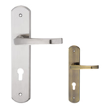 Muatkan imej ke dalam penonton Galeri, DUFIX DXS Series Stainless Steel Lever Handle On Plate SUS 304 DXS 413
