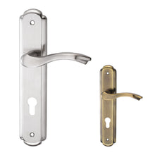 Load image into Gallery viewer, DUFIX DXS Series Stainless Steel Lever Handle On Plate SUS 304 DXS 514
